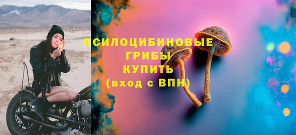mdpv Кондопога